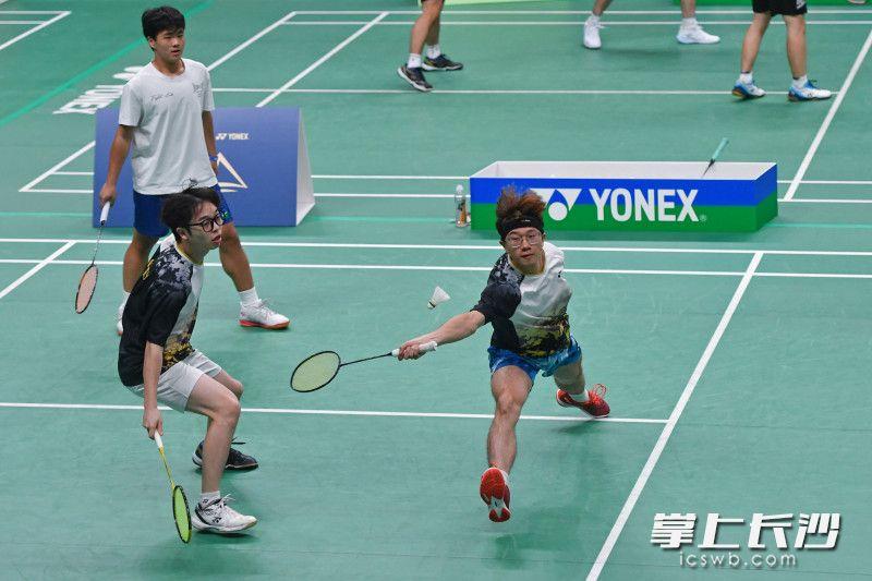 他们不仅与 他们不仅与