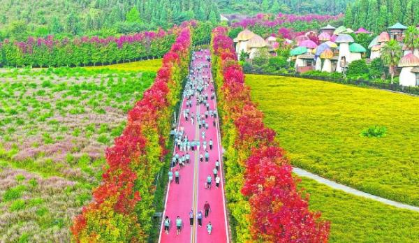 日举办以来, 的强大功能